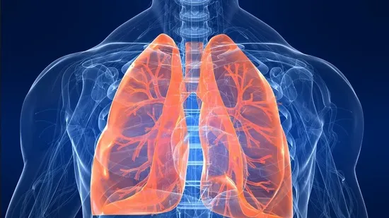 10 alimente pe care orice fumător ar trebui să le consume pentru a-şi curăţa plămânii