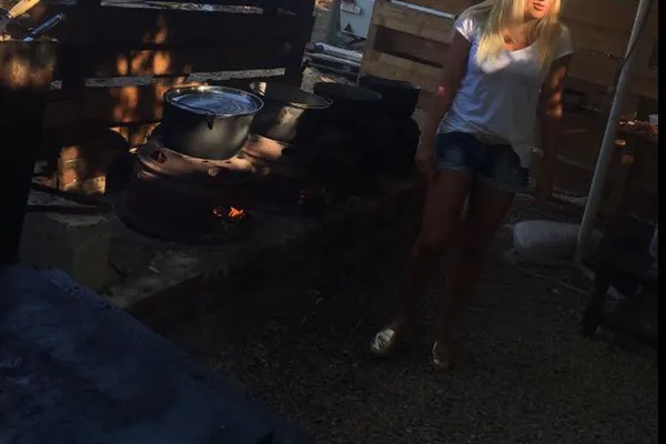 Elena Udrea şi Remus Cernea au primit aprobare pentru a candida la parlamentare