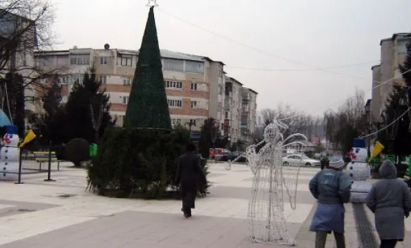 Primăria din Caracal a cumpărat un brad de 12 metri din Italia, pe care l-au replantat. Cât a costat
