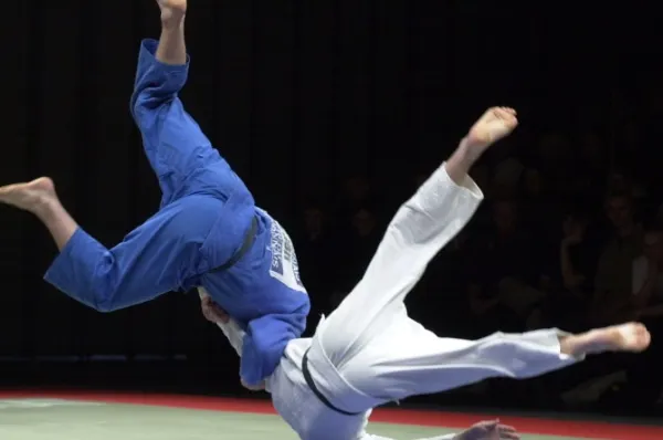 Judo: O medalie de aur și două de bronz pentru România, la Mondialele de veterani