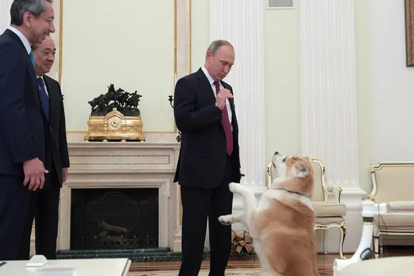 Câinele lui Putin a speriat doi jurnaliști japonezi! Aceștia îi luau un interviu președintelui rus