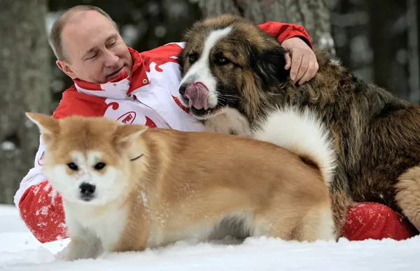 Putin a refuzat să primească câinele oferit cadou de guvernul Japoniei