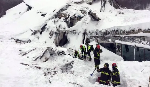 Emoţionant! Doi câini ciobănești ai hotelului afectat de avalanşa din Italia au fost găsiți teferi