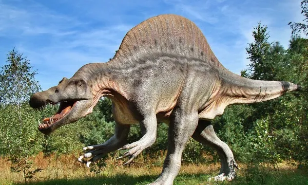 De ce mergeau DINOZAURII pe două picioare? Explicaţia uimitoare a paleontologilor