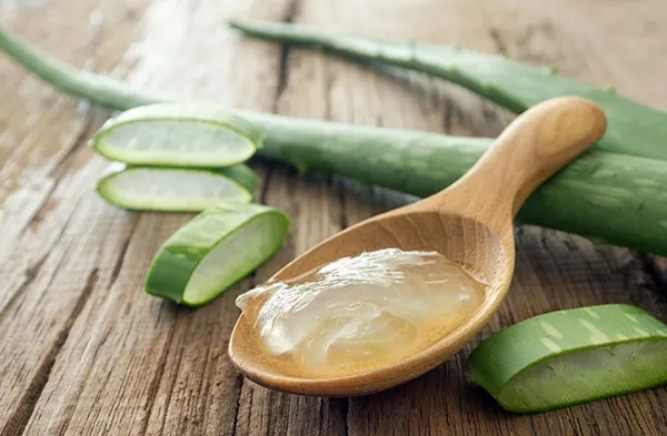 Aloe Vera este aur pentru organism! Iată câteva proprietăţi miraculoase ale plantei