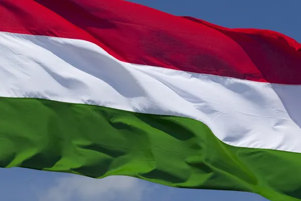 Proiectul UDMR privind declararea zilei de 15 martie ca sărbătoare a maghiarilor face iar valuri în Parlament