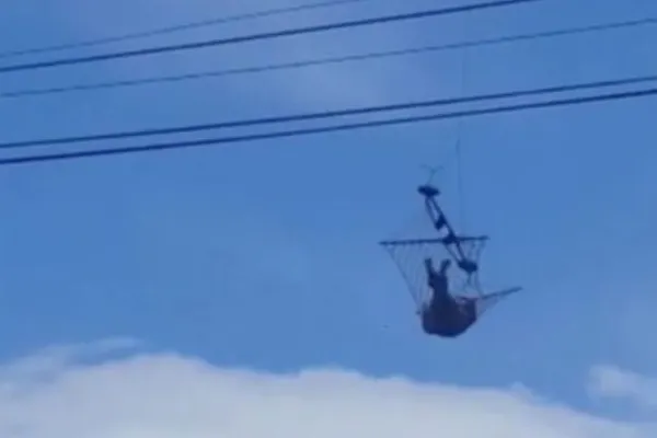 Și-a prins un hamac de dronă și s-a culcat în el. Imagini uluitoare