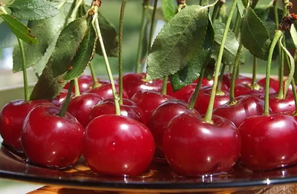 Beneficiile neştiute ale consumului de vişine! Sunt aur pentru organism