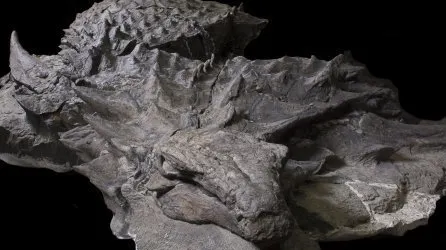 Monstru preistoric păstrat intact a uimit cercetătorii. Singura mumie a unui dinozaur