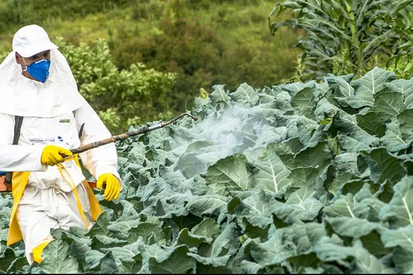 Veste uriașă pentru producătorii români. Uniunea Europeană face un pas înapoi în privința pesticidelor
