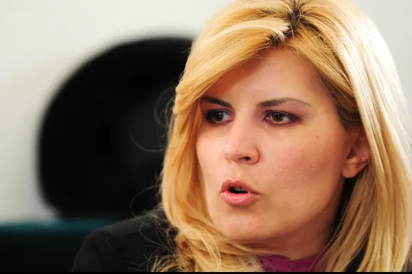 Elena Udrea, în fața instanței: L-am rugat pe Dorin Cocoș să dea bani la PDL