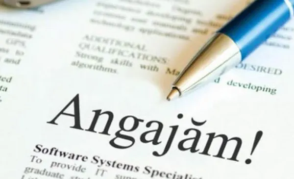 Proiect: angajările la stat se suspendă. Guvernul va analiza organizarea instituțiilor publice