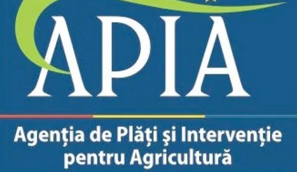 Guvernul a aprobat un proiect de investiții pentru dezvoltarea și extinderea sistemului informatic al APIA