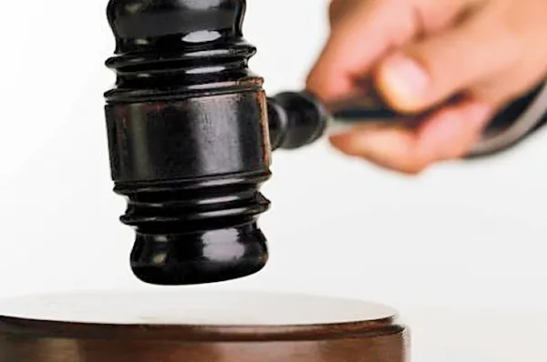 Premieră în Germania: Un cuplu de homosexual a adoptat un copil