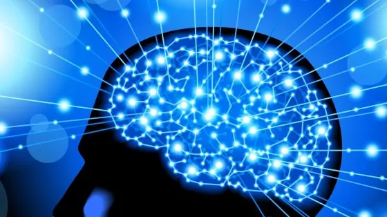 Șase întrebări prin care îți verifici sănătatea creierului. Ce risc ai de demență?