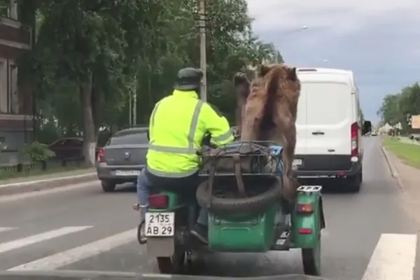 Numai în Rusia se poate întâmpla aşa ceva. Imaginile care te vor face să mori de râs