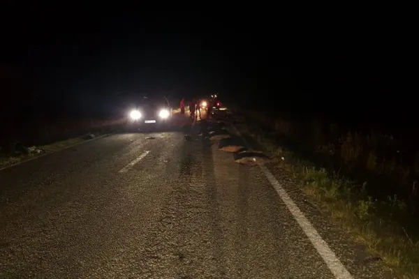 Accident straniu în România. Polițiștii ajunși au înghețat: zăceau pe șosea, toți 33
