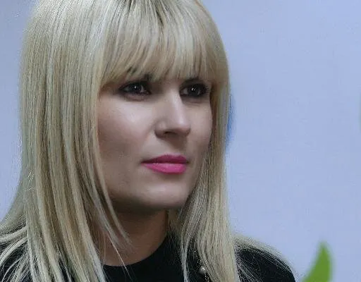 Elena Udrea, la Comisia de Control a SRI: Am venit să spun cum funcţionează "statul paralel"