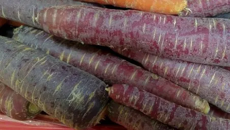 Morcovul violet, o sursă de sănătate. Uite ce beneficii are asupra organismului