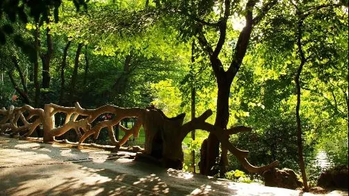 Parcul Cișmigiu din București, focar de infecție. Ce s-a descoperit aici