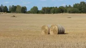 România are cea mai valoroasă resursă din Uniunea Europeană