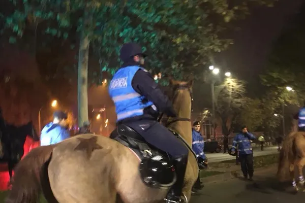 Carmen Dan, convocată în Parlament după ce jandarmii au ieșit călare la proteste