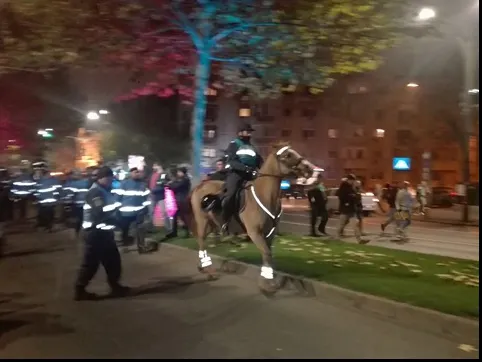 Vrei să protestezi? Jandarmeria te învaţă cum să o faci (VIDEO)