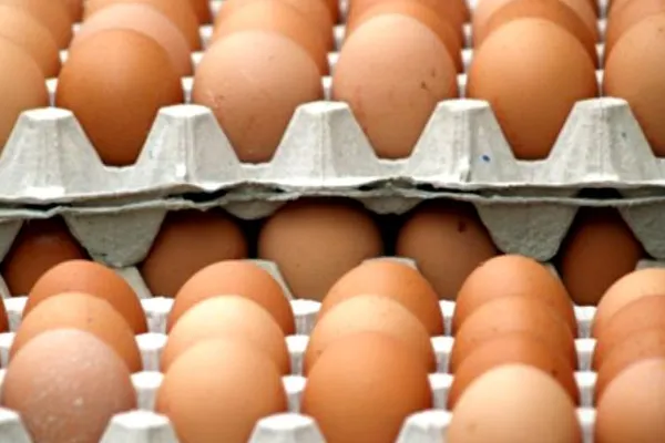 Ce alimente s-au scumpit cel mai mult în noiembrie
