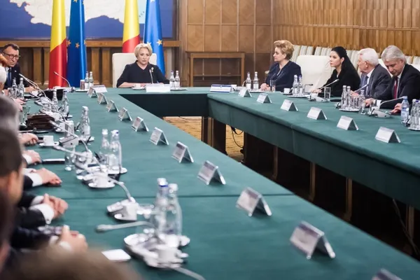 Ce averi au membrii Guvernului Dăncilă