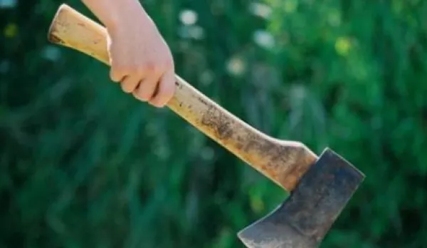 Femeie ucisă cu bestialitate de concubin, sub ochii polițiștilor
