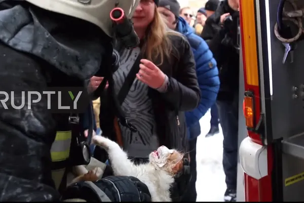 Miracolul din Rusia. O pisică, readusă la viaţă de către pompieri, în urma unui incendiu