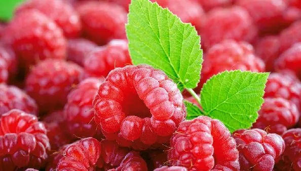 Fructul minune care alungă oboseala cât ai clipi! Beneficii extraordinare pentru sănătate