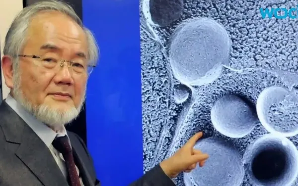 Dieta japonezului laureat cu premiul Nobel: ajută la scăderea în greutate şi la regenerarea celulară