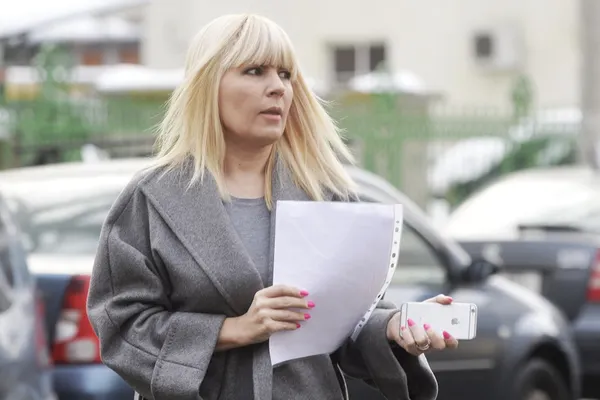 Elena Udrea a vândut acțiuni în valoare de 500.000 de euro înainte de sentința în dosarul Gala Bute