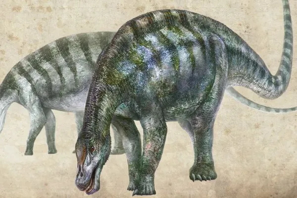 A fost descoperită o nouă specie de dinozauri-dragon, în China
