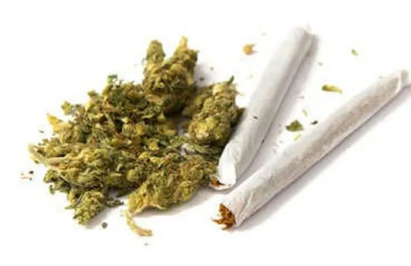 Marijuana, legală de astăzi în Canada