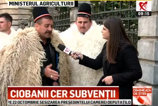 A venit oaia la Daea, ciobanii protestează la Min. Agriculturii