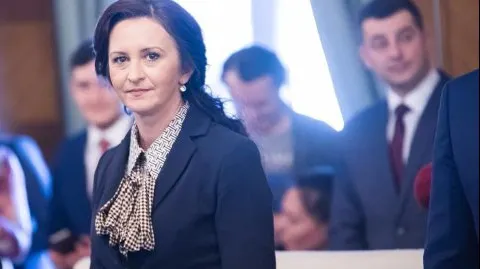 Ce face Guvernul pentru diaspora după "gazarea" din 10 august