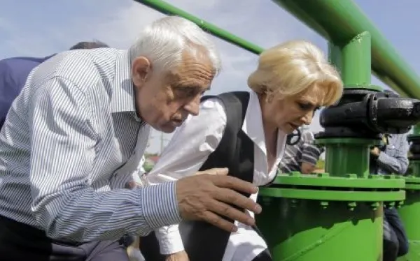 Guvernul Dăncilă a tăiat banii pentru pesta porcină din bugetul UE