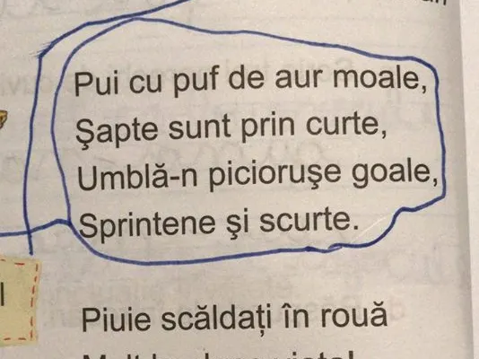 Încă o poezie "masacrată" în manualele şcolare: "Pui de raţă", de Nina Cassian