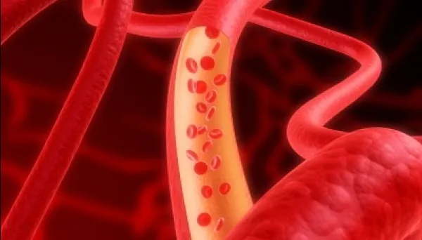 În ce alimente găsești vitamina care protejează vasele de sânge și întărește oasele