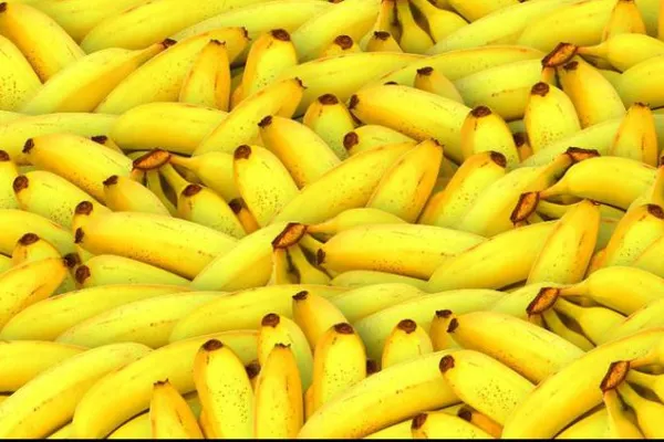 Alimente pe cale de dispariţie! Le consumi în fiecare zi