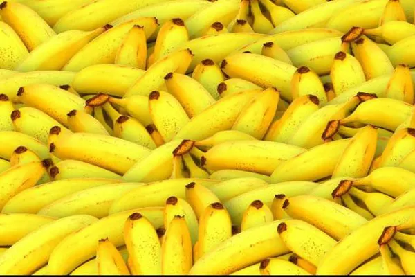 Alimente pe cale de dispariţie! Le consumi în fiecare zi
