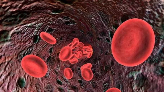 8 alimente care stimulează circulația sângelui