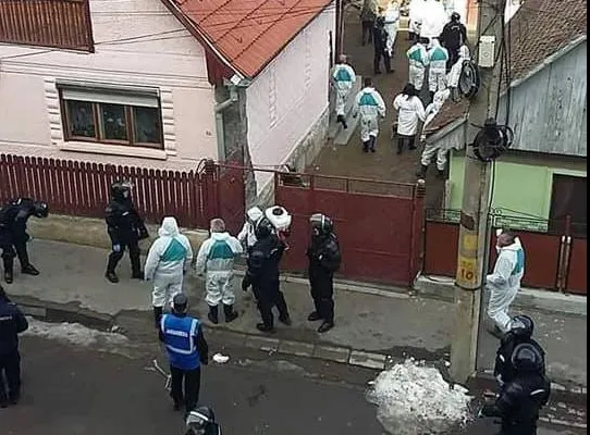 A fost confirmat al doilea focar de pestă porcina africană în județul Covasna