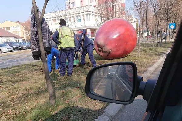 Primăria Bistrița, nevoită să mute merele gigant care îi încurcau pe pietoni