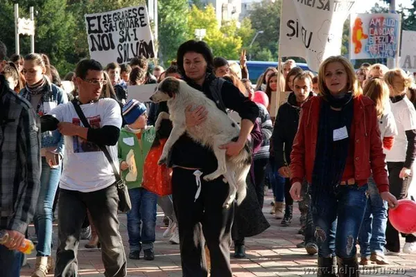 Câinele mascotă al protestelor din Galaţi îşi caută stăpân