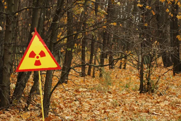 Ucraina a făcut anunțul oficial: ce se întâmplă la fosta centrală de la Cernobîl