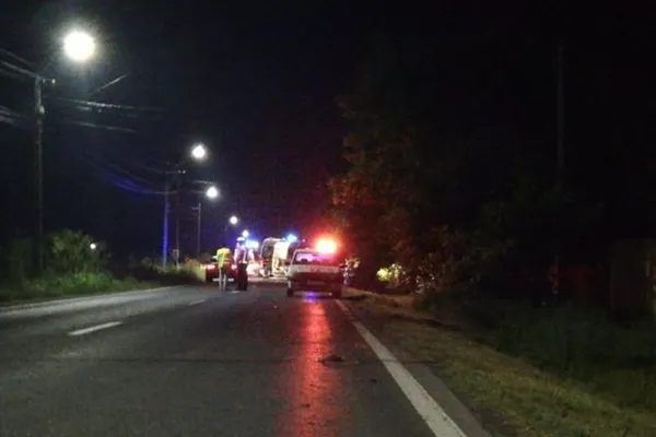 Cinci frați, implicați într-un groaznic accident din cauza unui câine: un mort, 4 răniți