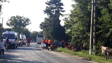 Accident grav în Teleorman, un microbuz a spulberat o căruţă